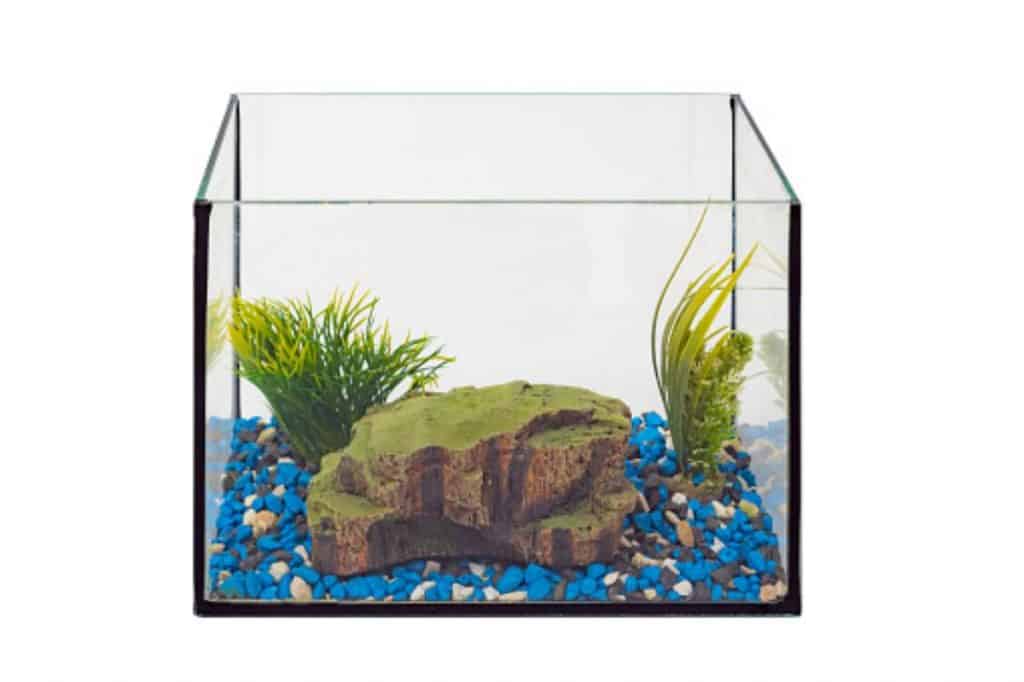 Moving a Fish Tank